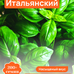 Базилик Итальянский