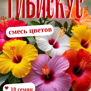 Гибискус смесь сортов