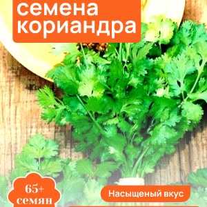 Кинза кориандр семена