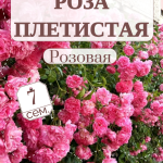 Роза плетистая розовая семена